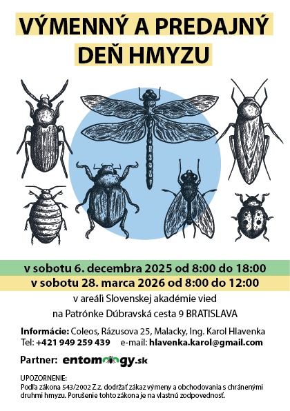 Burza Bratiskava plagár jeseň 2025 jar 2026